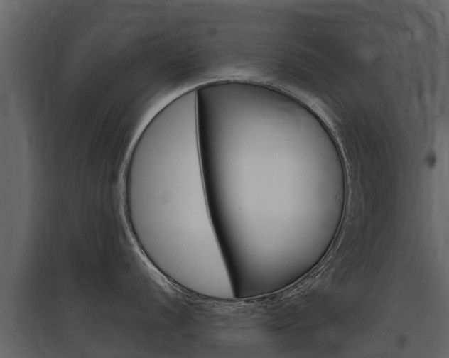 X0000097811056200803140754