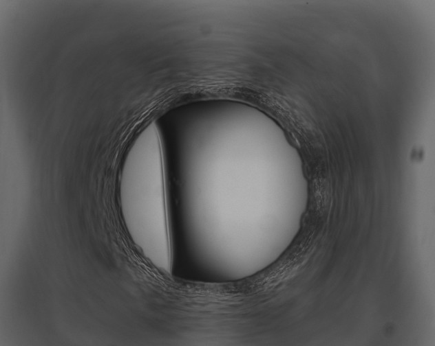 X0000097811057200803140754
