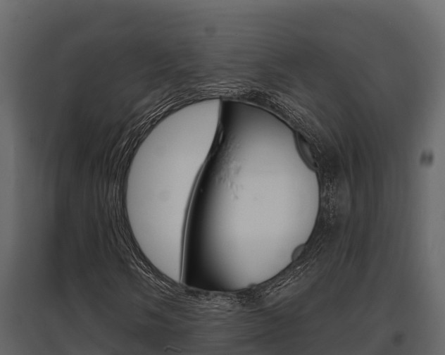 X0000097811058200803140754