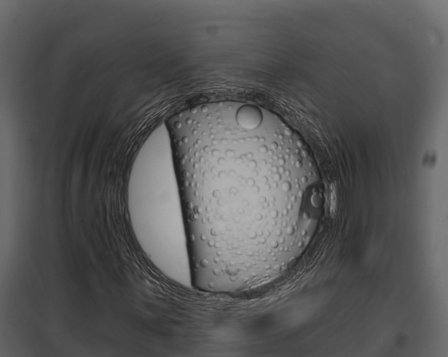 X0000097811059200803140754