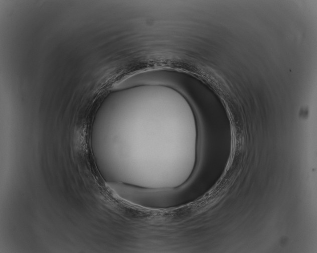 X0000097811060200803140754