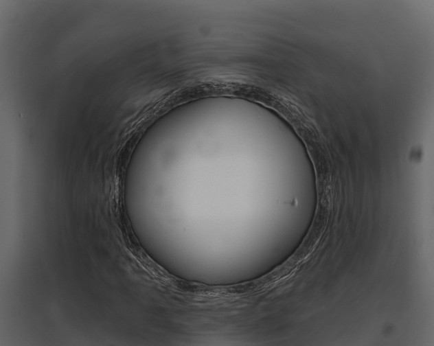 X0000097811061200803140754