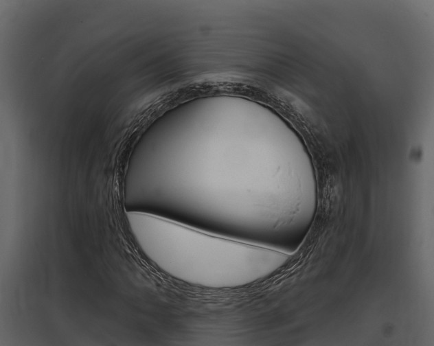 X0000097811062200803140754