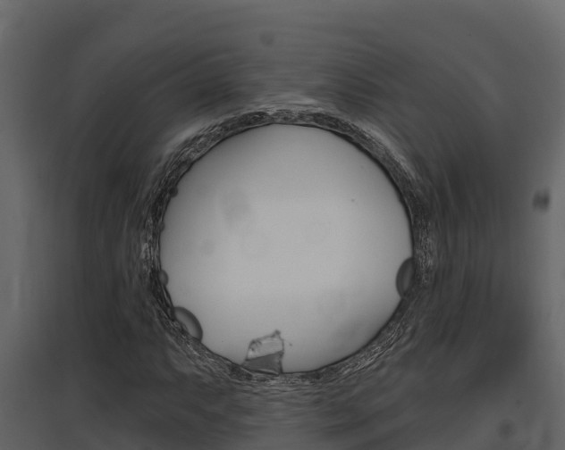 X0000097811063200803140754