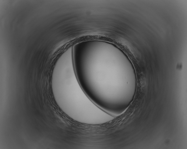 X0000097811064200803140754