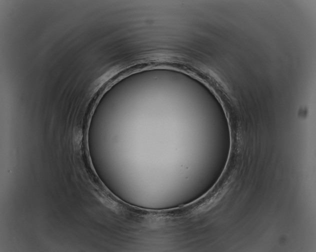 X0000097811065200803140754