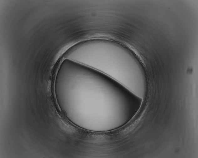 X0000097811066200803140754