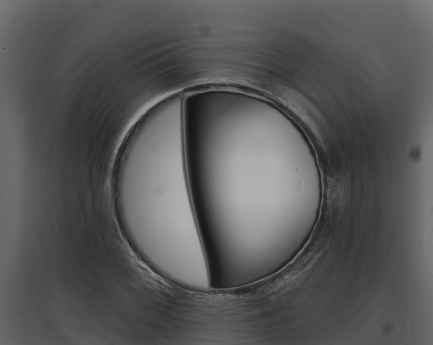 X0000097811068200803140754