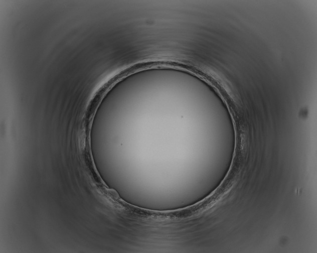 X0000097811069200803140754