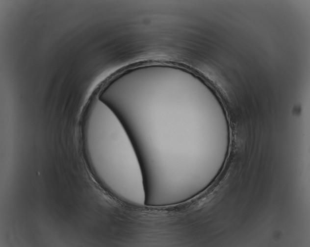 X0000097811070200803140754