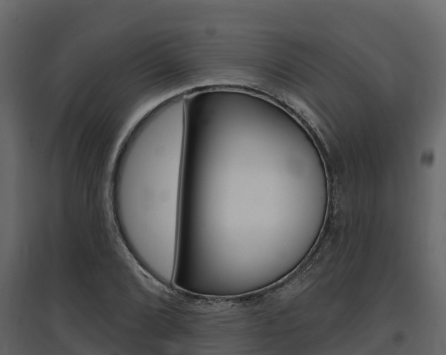X0000097811072200803140754