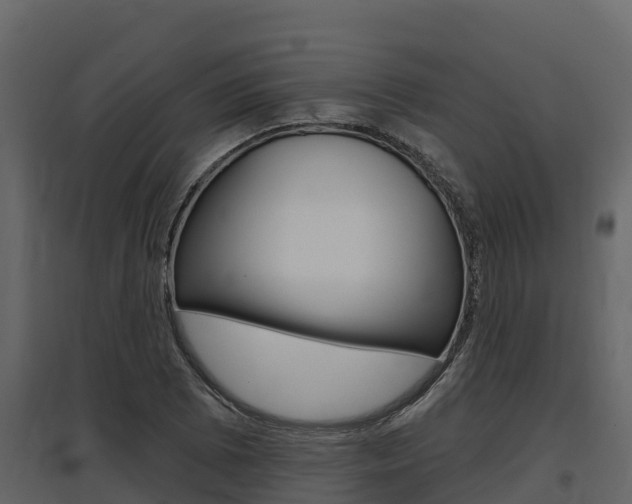 X0000097811073200803140754