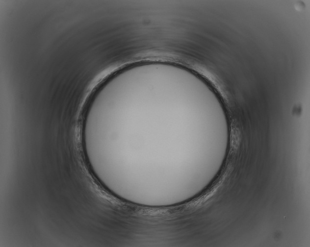 X0000097811074200803140754