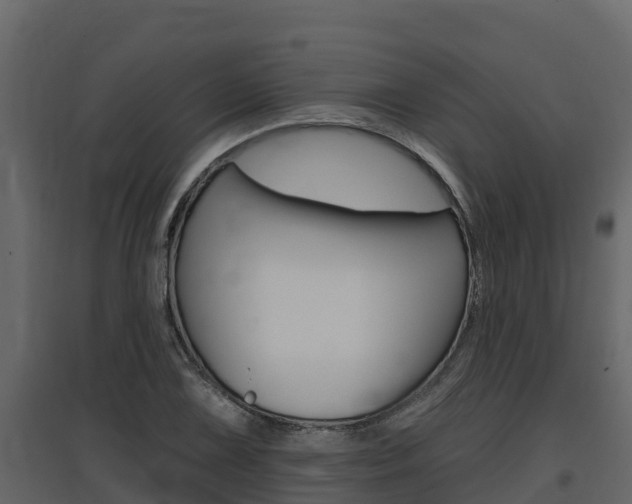 X0000097811075200803140754