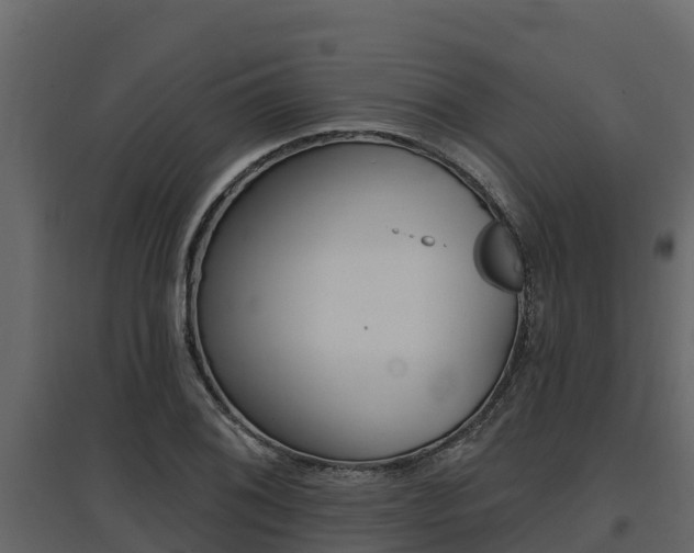 X0000097811076200803140753