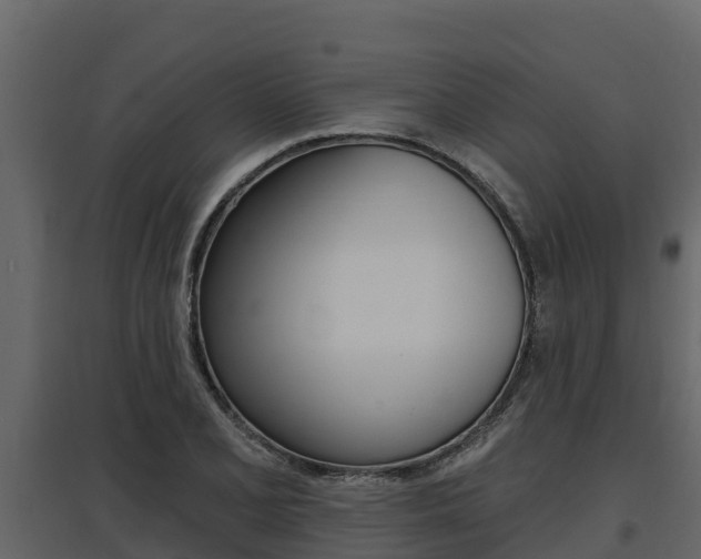 X0000097811077200803140753