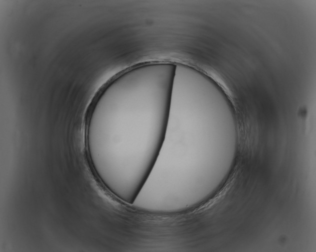X0000097811079200803140753