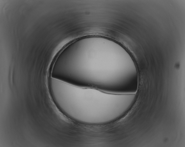X0000097811082200803140753