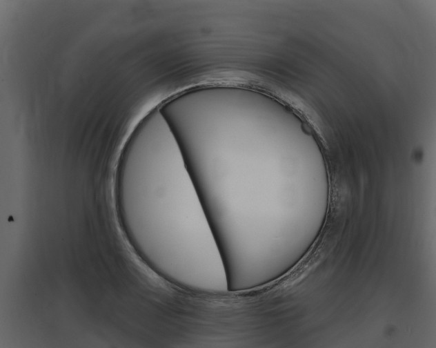 X0000097811083200803140753