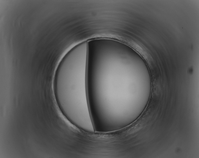 X0000097811084200803140753
