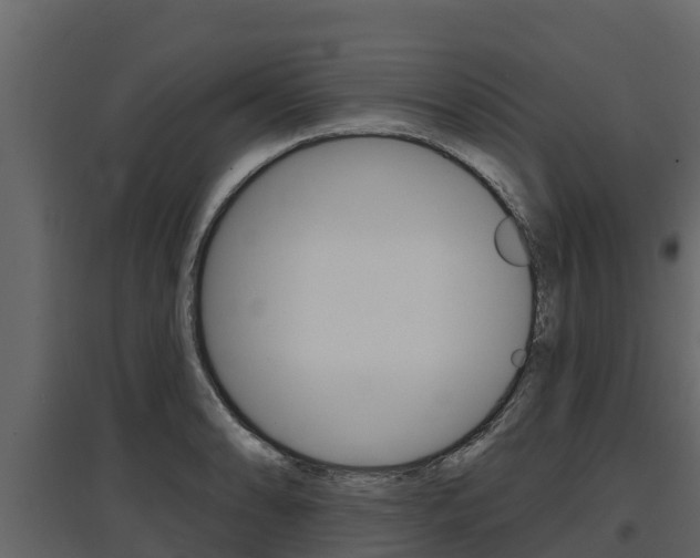 X0000097811086200803140753
