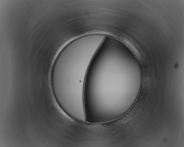 X0000097811092200803140753