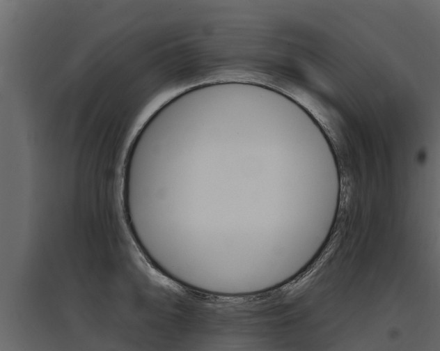 X0000097811094200803140753