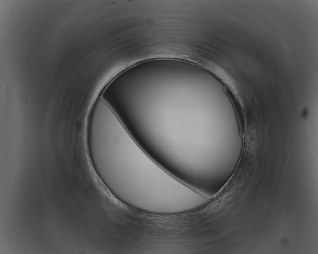 X0000097811096200803140753