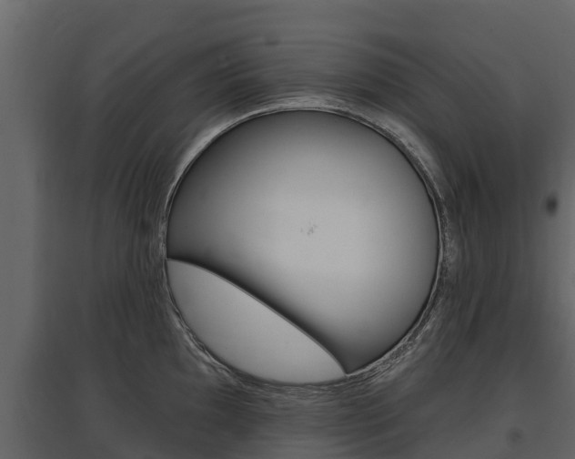 X0000097811097200803140753