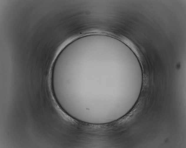 X0000097811098200803140753