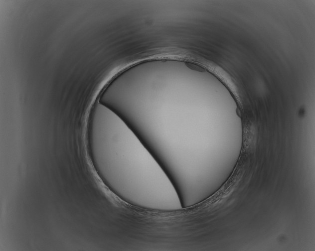 X0000097811099200803140753