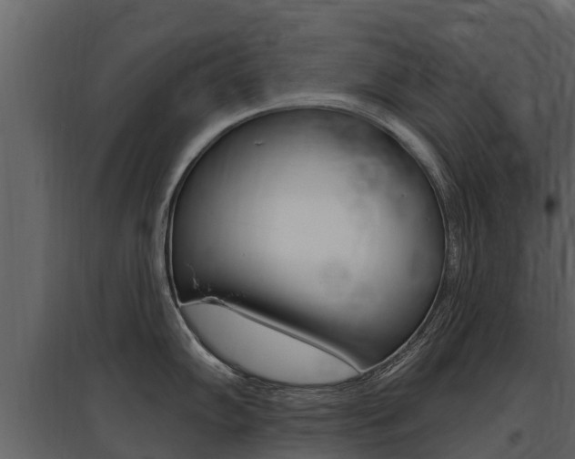 X0000097811102200803140753