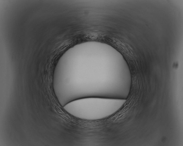X0000097811105200803140752