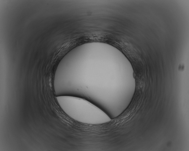 X0000097811106200803140752
