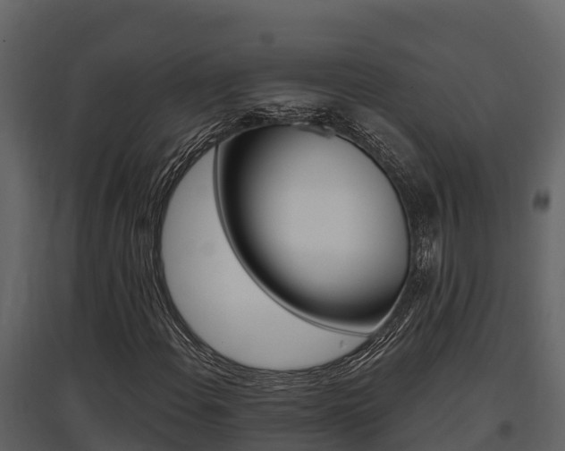 X0000097811108200803140752