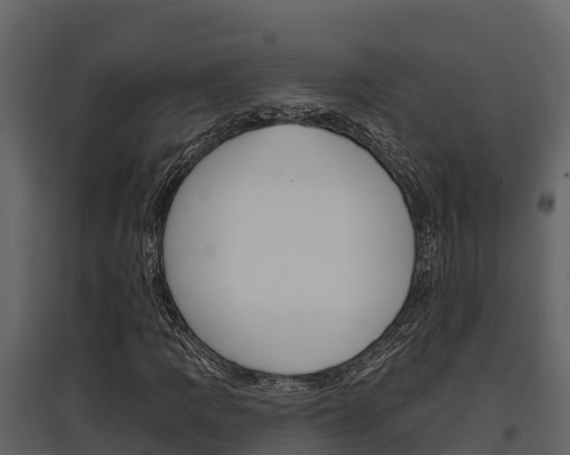 X0000097811109200803140752