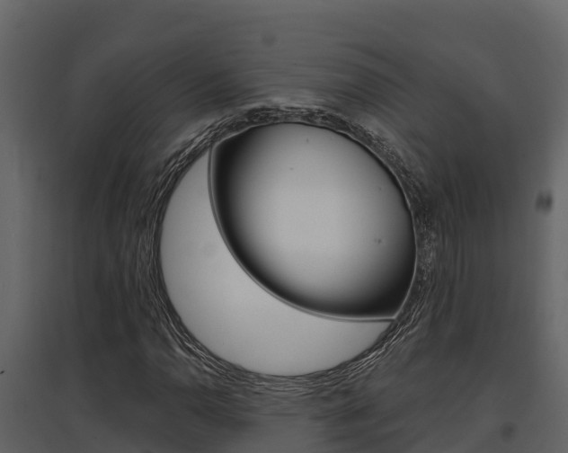 X0000097811110200803140752