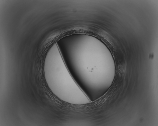 X0000097811111200803140752