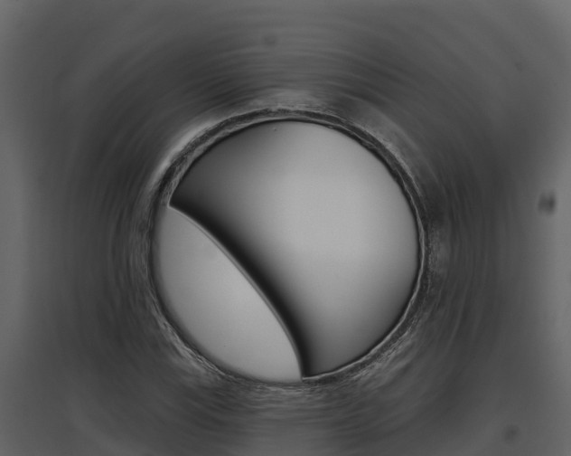 X0000097811115200803140752
