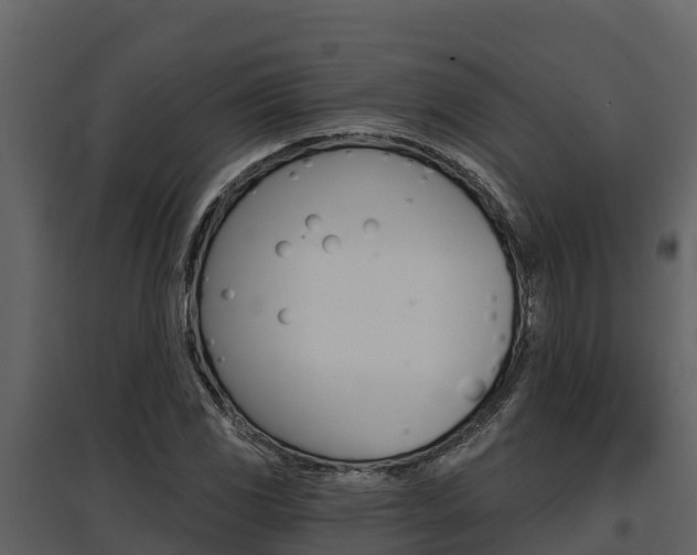X0000097811117200803140752