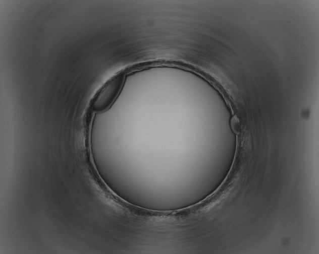 X0000097811118200803140752