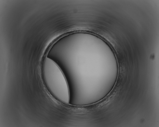 X0000097811119200803140752