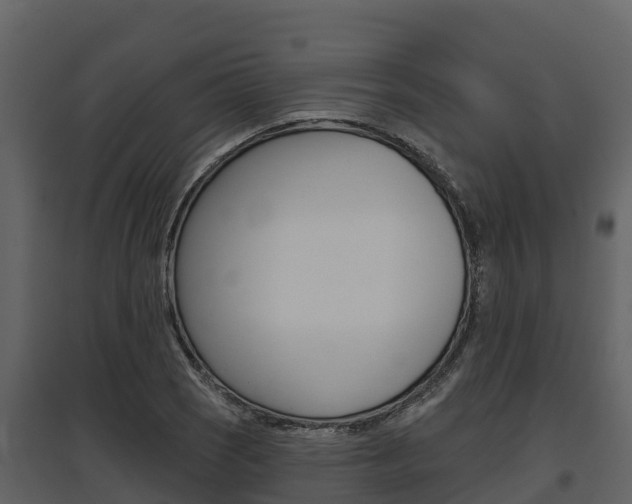 X0000097811121200803140752