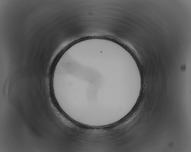 X0000097811122200803140753