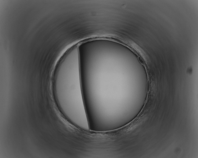 X0000097811124200803140753