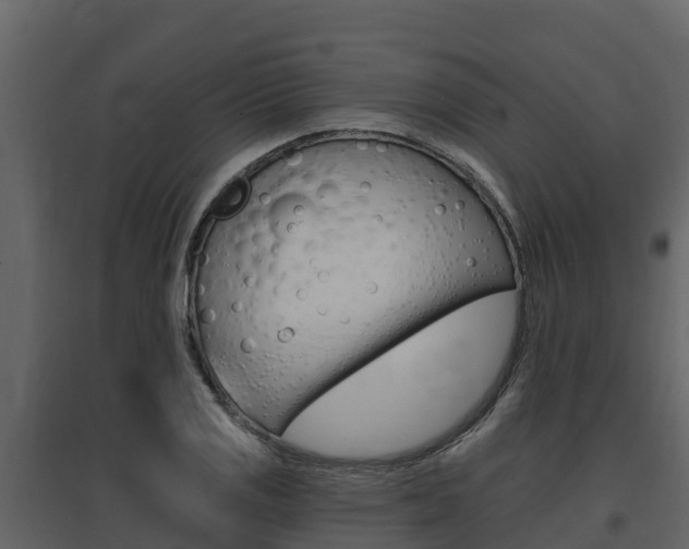 X0000097811125200803140753