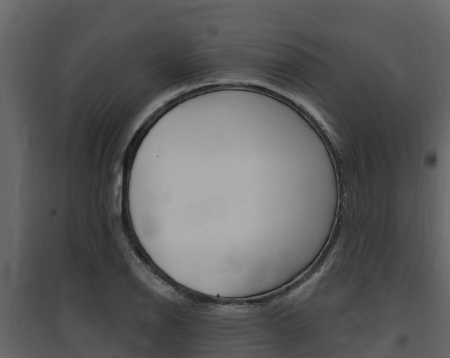 X0000097811126200803140753
