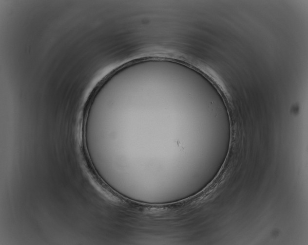 X0000097811128200803140753