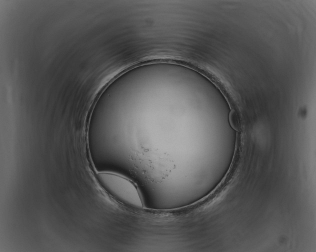 X0000097811129200803140753