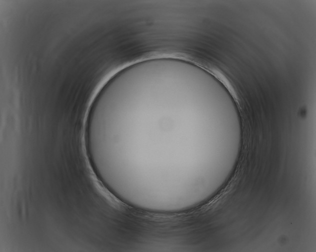 X0000097811132200803140753